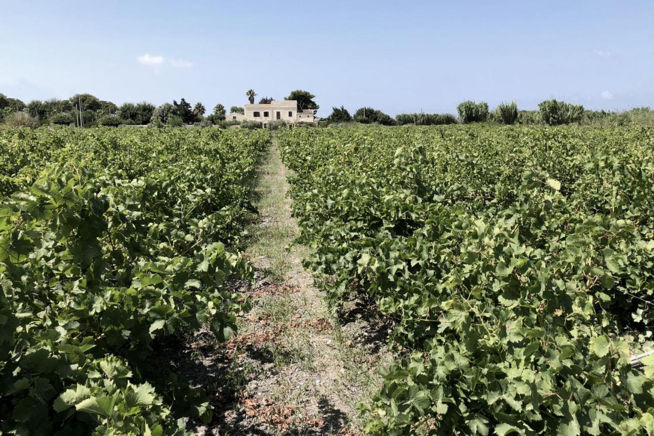 Villa Salinara Marsala Buitenkant foto